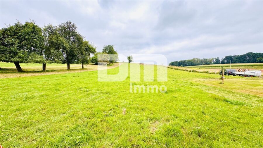 Geräumiges 1 bis 2 Familienhaus mit gigantischem Grundstück und Doppelgarage - Großes Gartengrundstück